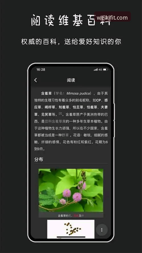 维基体育官网下载 维基体育平台最新版本下载深度评测:安卓版App功能与稳定性全面分析